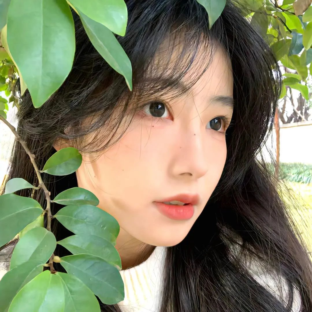 云雾之上